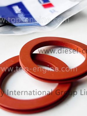111A27038/1 MTU SEALING RING