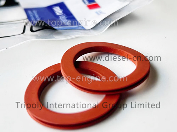 111A27038/1 MTU SEALING RING