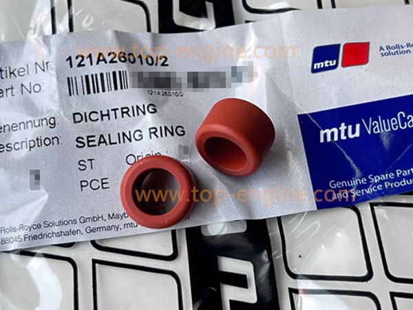 121A26010/2 SEALING RING