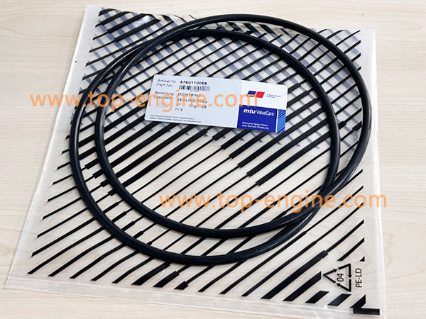 5760110059 SEALING RING