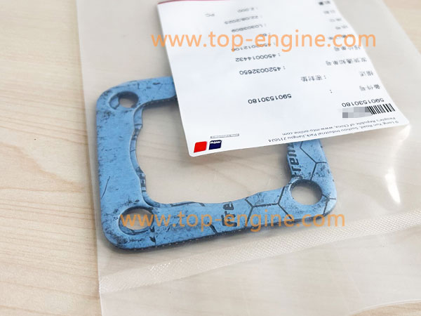 5901530180 MTU595 GASKET
