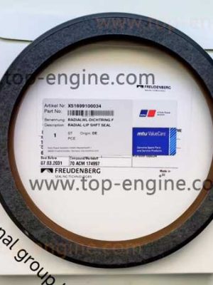 X51699100034 RADIAL-LIP SHFT SEAL AUX PTO END (KGS)