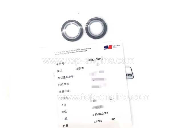 0000160119 - MTU4000 SEALING RING