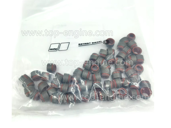 0000535858 - MTU Valve Stem Seal
