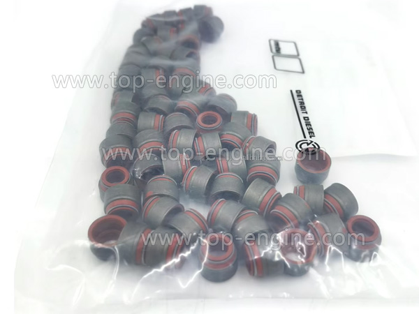 0000535858 - MTU2000 Valve Stem Seal