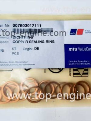 007603012111 COPPER SEALING RING
