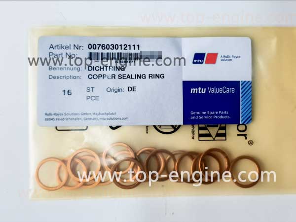 007603012111 COPPER SEALING RING