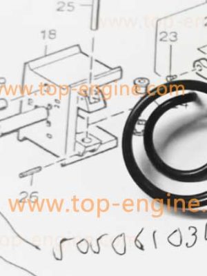 5050610317 - MTU TORSION SPRING