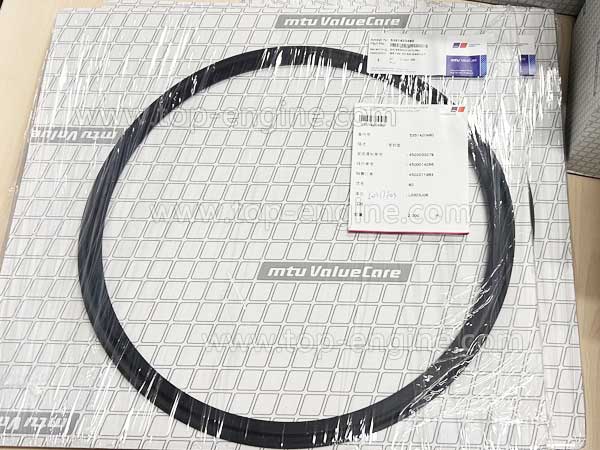 5351420480 - MTU GASKET