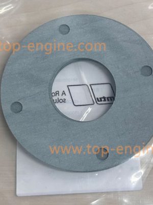 5612031880 MTU1163 GASKET