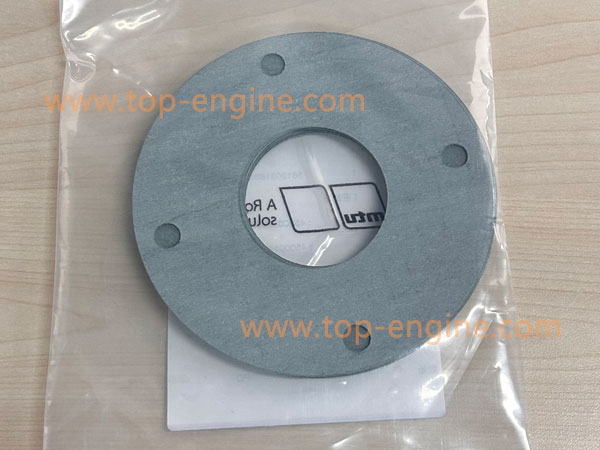 5612031880 MTU1163 GASKET