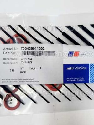 700429011002 MTU O-Ring