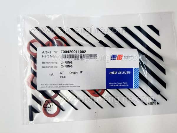 700429011002 MTU O-Ring