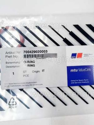 700429020003 MTU O-Ring