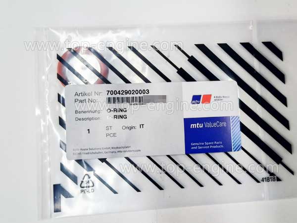700429020003 MTU O-Ring