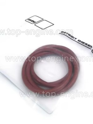 700429038003 - MTU O-RING