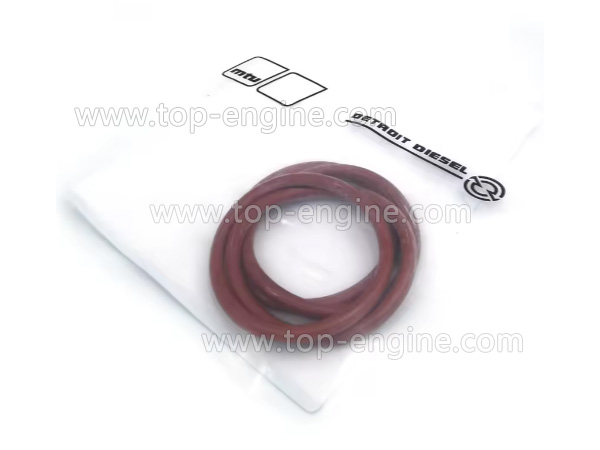 700429038003 - MTU O-RING