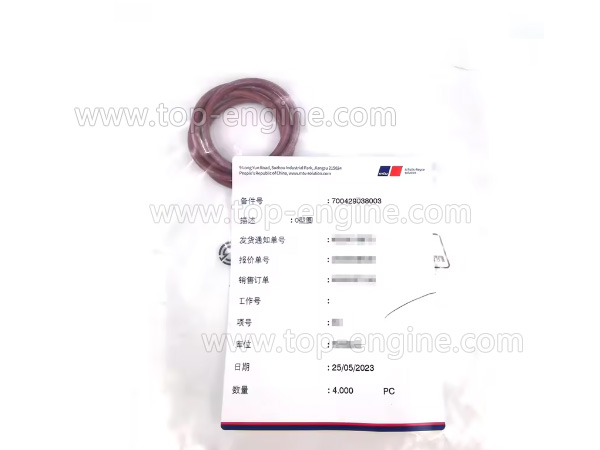 700429038003 - MTU4000 O-RING Seal