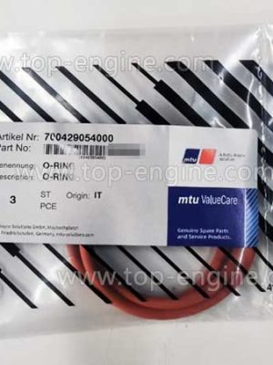 700429054000 - MTU396 O-RING