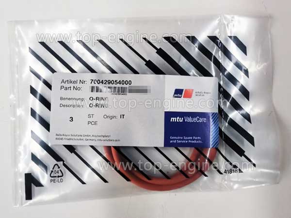 700429054000 - MTU396 O-RING