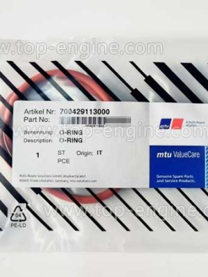 700429113000 MTU O Ring