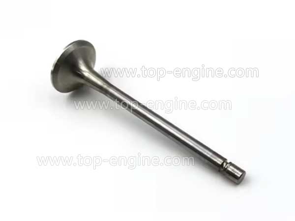 X51104100019 - MTU BR2000 Exhaust Valve