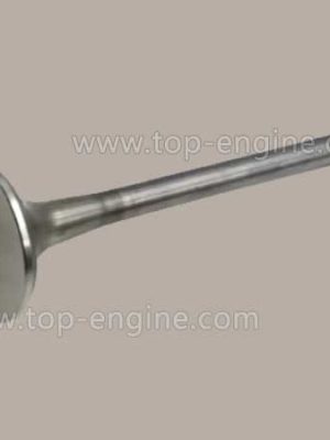 X51104100019 - MTU Exhaust Valve