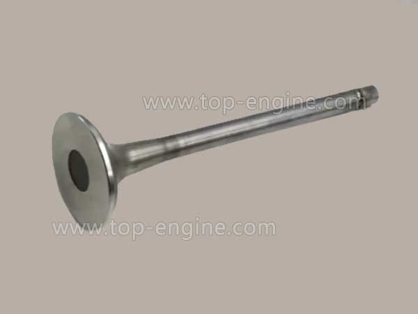 X51104100019 - MTU Exhaust Valve
