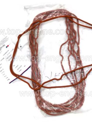 X52405500190 - MTU Irregular Gasket