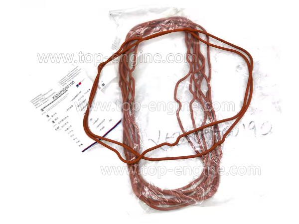 X52405500190 - MTU Irregular Gasket