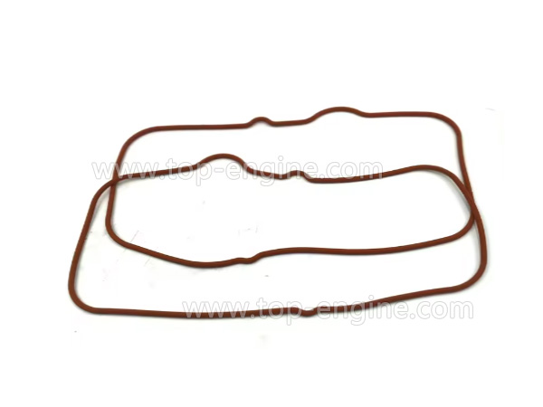 X52405500190 - MTU2000 Irregular Gasket
