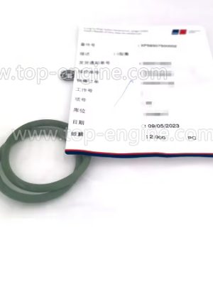 XP59307500002 - MTU4000 O-RING