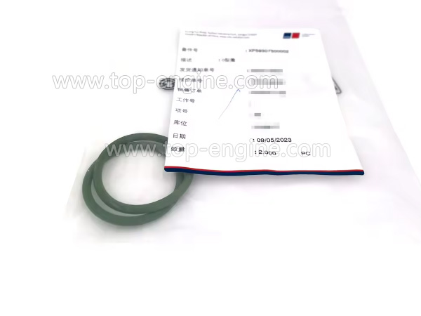 XP59307500002 - MTU4000 O-RING