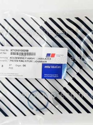 XT1310100259 MTU O-Ring