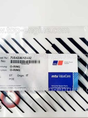700429012002 - MTU O-ring