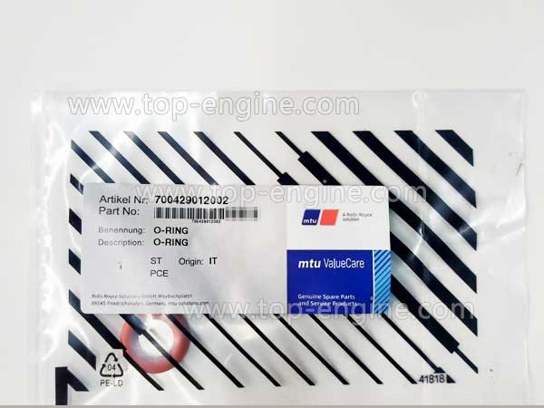700429012002 - MTU O-ring