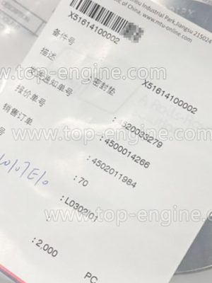 X51614100002 MTU GASKET